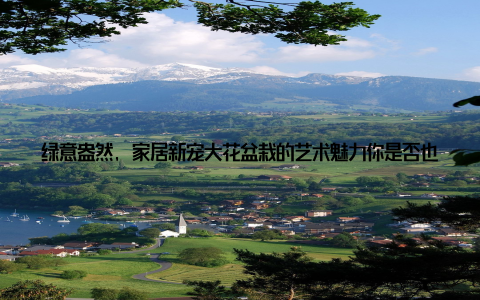 绿意盎然, 家居新宠大花盆栽的艺术魅力你是否也曾为家中单调的墙面而烦恼? 是否渴望让家居生活多一份生机与活力? 现在, 有一种家居装饰新潮流正在年轻人中悄然兴起那就是大花盆栽