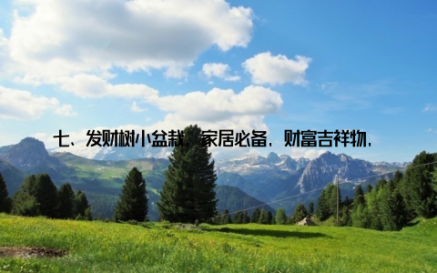 七、发财树小盆栽, 家居必备, 财富吉祥物, 发财树小盆栽是家居必备的绿植佳品, 它绿意盎然, 助力财运亨通