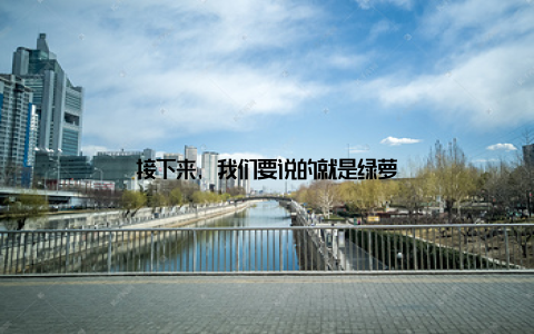 接下来, 我们要说的就是绿萝