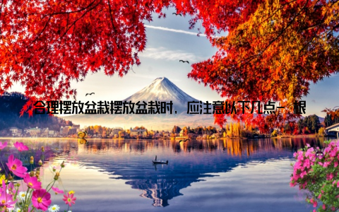 合理摆放盆栽摆放盆栽时, 应注意以下几点- 根据植物特性选择适宜的位置, 如喜阴植物应放在光线较弱的地方