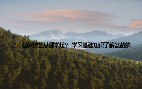 二、盆栽技艺从哪学起? 学习基础知识了解盆栽的种类、生长习性、养护方法等, 为后续的学习打下坚实的基础