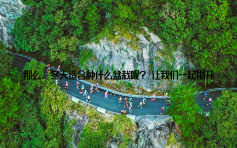 那么, 冬天适合种什么盆栽呢? 让我们一起揭开冬季盆栽种植的神秘面纱, 养出温暖的小确幸, 打造家居绿意盎然! 冬天适合种什么盆栽? 我们要知道, 冬天的气候干燥且阳光不足, 因此选择的盆栽要具备耐寒、耐旱的特点