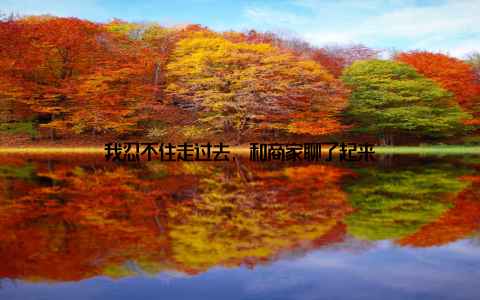 我忍不住走过去, 和商家聊了起来