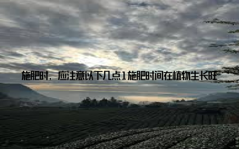 施肥时, 应注意以下几点1施肥时间在植物生长旺盛期, 如春、秋季, 可适当增加施肥次数在植物休眠期, 如冬季, 应减少施肥