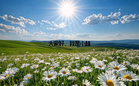 大家好, 我是小林