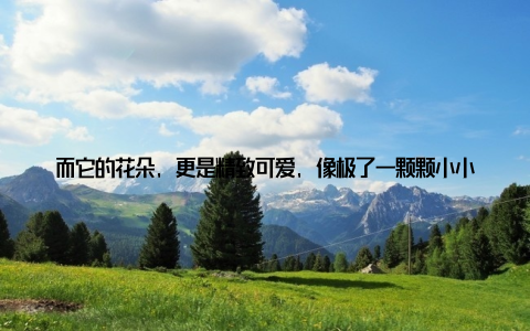 而它的花朵, 更是精致可爱, 像极了一颗颗小小的宝石, 点缀在绿叶之间, 让人忍不住想要靠近, 细细品味