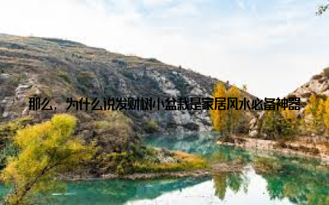 那么, 为什么说发财树小盆栽是家居风水必备神器呢? 原因有以下几点 净化空气发财树小盆栽具有很强的空气净化能力, 能有效吸收室内的有害气体, 释放出氧气, 让家中的空气更加清新