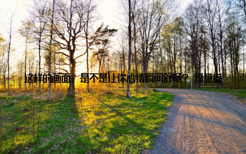 这样的画面, 是不是让你心情瞬间舒畅? 绿意盎然, 室内盆栽竹子不仅仅是一种装饰, 更是一种生活的态度