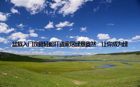 盆栽入门攻略轻松打造家居绿意盎然, 让你成为绿色生活倡导者! 随着生活节奏的加快, 越来越多的年轻人开始追求绿色健康的生活方式