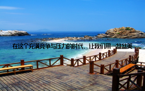 在这个充满竞争与压力的时代, 让我们用一盆盆美丽的大花盆栽, 为自己营造一个温馨、舒适的家园, 让生活充满阳光与希望!