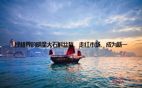 绿植界的明星大石斛盆栽, 走红市场, 成为新一代绿宠! 近年来, 绿植市场风起云涌, 各式各样的绿植争奇斗艳