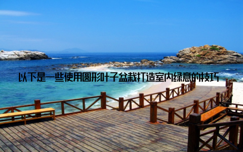 以下是一些使用圆形叶子盆栽打造室内绿意的技巧 选择合适的植物要根据你家的光线、温度等因素选择适合的圆形叶子盆栽
