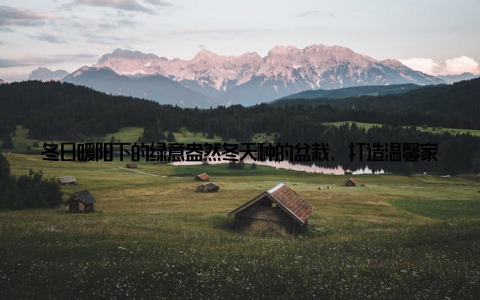 冬日暖阳下的绿意盎然冬天种的盆栽, 打造温馨家居新宠寒冷的冬天, 你是否觉得家中少了些生机与活力? 别担心, 今天就来为你冬天种的盆栽, 教你如何利用冬天盆栽种植指南, 打造一个温暖舒适的家居新宠