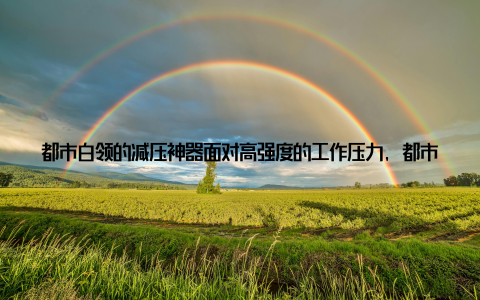 都市白领的减压神器面对高强度的工作压力, 都市白领们纷纷将仙人球盆栽搬进办公室, 为紧张的工作环境增添一抹生机