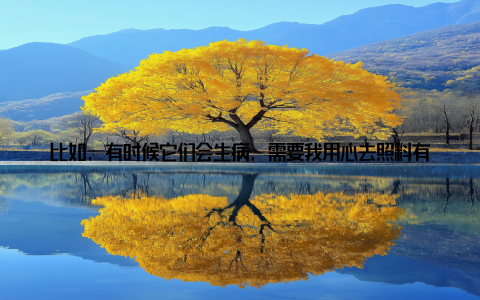 比如, 有时候它们会生病, 需要我用心去照料有时候, 我因为工作忙碌, 忘记给它们浇水, 导致叶子枯萎