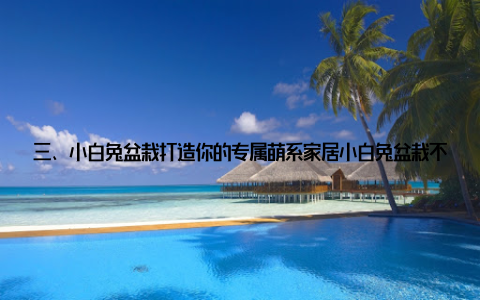 三、小白兔盆栽打造你的专属萌系家居小白兔盆栽不仅外观可爱, 还具有以下特点, 让你的家居更具个性 清新空气小白兔盆栽能有效吸收室内有害气体, 净化空气, 让你的家更加健康