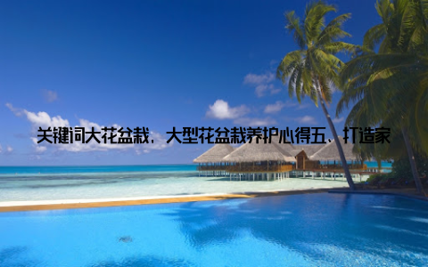 关键词大花盆栽, 大型花盆栽养护心得五、打造家居绿意盎然的小贴士 层次分明在摆放大花盆栽时, 注意层次感, 使家居环境更具立体感