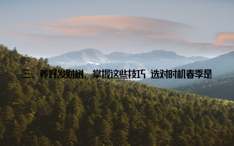 三、养好发财树, 掌握这些技巧 选对时机春季是发财树生长的最佳时期, 此时移植、换盆、修剪等操作都较为适宜