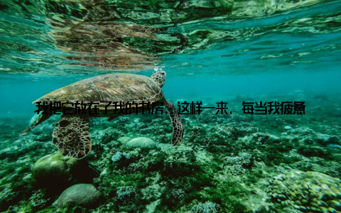我把它放在了我的书房, 这样一来, 每当我疲惫地坐在书桌前, 看到它可爱的样子, 就能瞬间缓解我的压力, 让我重新振作起来
