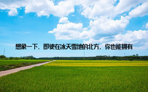 想象一下, 即使在冰天雪地的北方, 你也能拥有花开满枝头的美丽景致, 这样的家居园艺新风尚, 怎能不让人心动? 北方盆栽月季冬日里的温暖阳光北方的冬天, 寒冷而漫长, 很多人都会觉得家里缺少生机