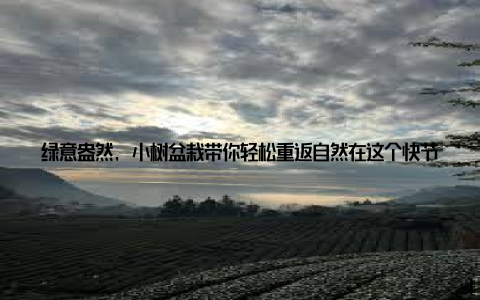 绿意盎然, 小树盆栽带你轻松重返自然在这个快节奏的都市生活中, 我们常常被高楼大厦、钢铁森林所包围, 渐渐地, 那份与自然亲近的纯真感受似乎被遗忘