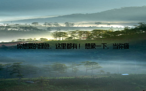 你想要的绿色, 这里都有! 想象一下, 当你疲惫地回到家中, 看到窗台上摆放着一盆生机勃勃的绿植, 是不是瞬间觉得心情愉悦, 疲惫一扫而空? 这就是绿植的魅力, 它不仅能美化环境, 更能提升我们的生活质量