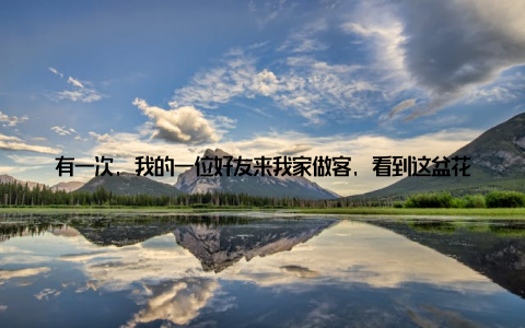 有一次, 我的一位好友来我家做客, 看到这盆花, 不禁赞叹道哇, 你家的花真漂亮, 这是种什么花啊? 我笑着告诉她这叫大盆栽花, 它不仅养眼, 还能净化空气, 给生活带来满满的绿意