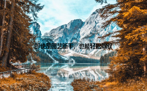 即使是园艺新手, 也能轻松驾驭