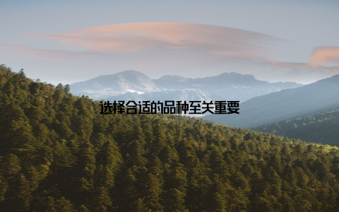 选择合适的品种至关重要