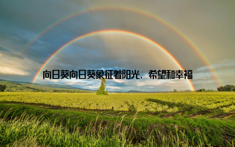 向日葵向日葵象征着阳光、希望和幸福