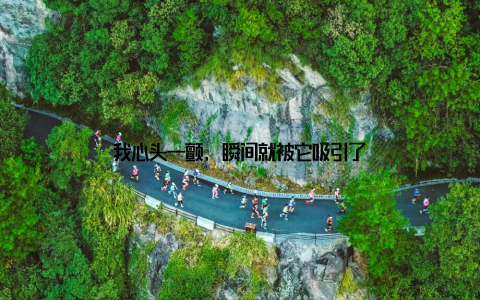 我心头一颤, 瞬间就被它吸引了