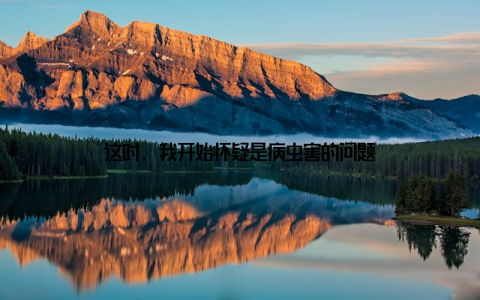 这时, 我开始怀疑是病虫害的问题