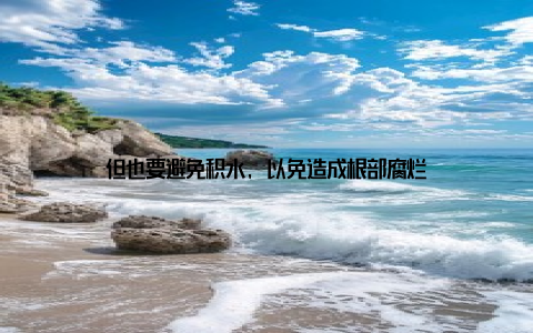 但也要避免积水, 以免造成根部腐烂