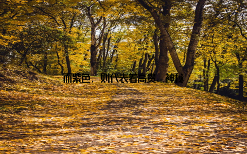 而紫色, 则代表着高贵、神秘