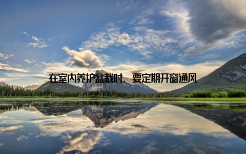 在室内养护盆栽时, 要定期开窗通风