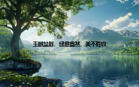 玉树盆栽, 绿意盎然, 美不胜收