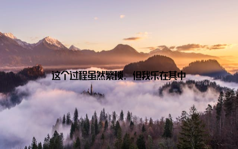 这个过程虽然繁琐, 但我乐在其中