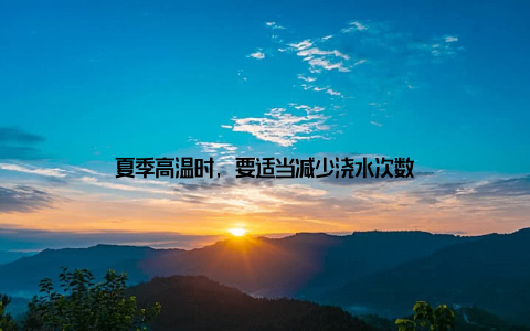 夏季高温时, 要适当减少浇水次数