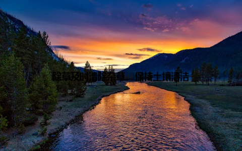 除草及时清除杂草, 保持土壤清洁