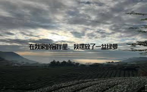 在我家的客厅里, 我摆放了一盆绿萝