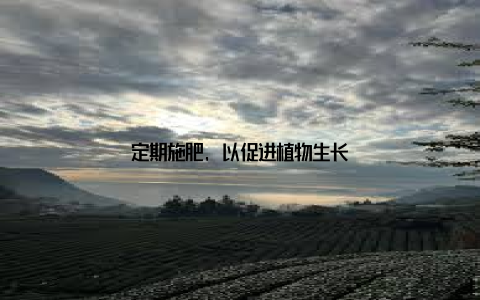 定期施肥, 以促进植物生长