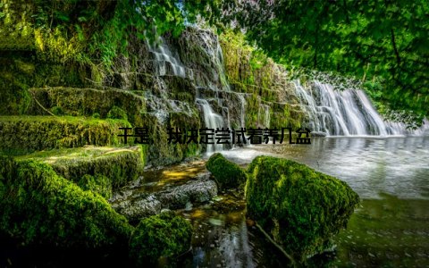 于是, 我决定尝试着养几盆