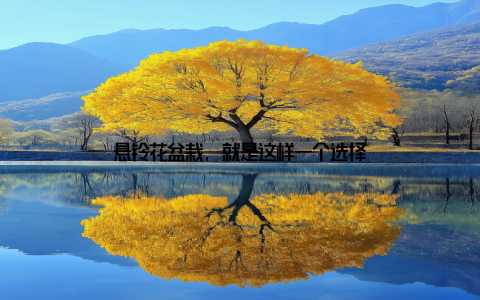 悬铃花盆栽, 就是这样一个选择