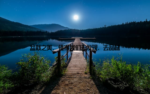 盆栽之美, 值得我们去发现、去品味