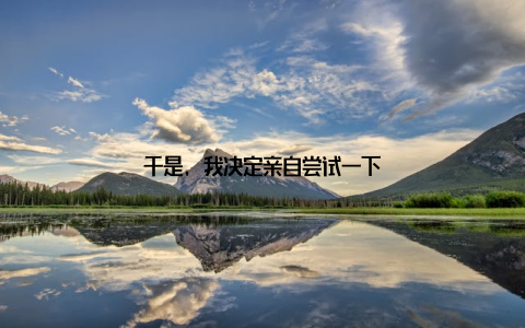 于是, 我决定亲自尝试一下