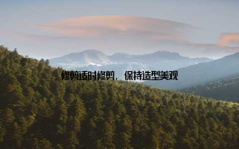 修剪适时修剪, 保持造型美观