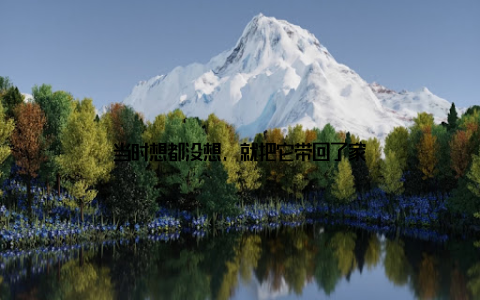 当时想都没想, 就把它带回了家
