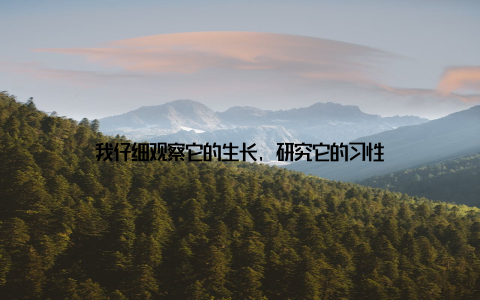 我仔细观察它的生长, 研究它的习性