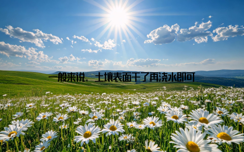 一般来说, 土壤表面干了再浇水即可