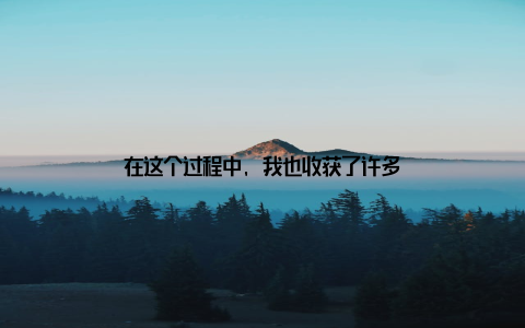 在这个过程中, 我也收获了许多